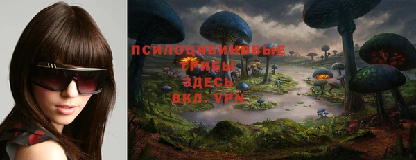 стаф Наволоки