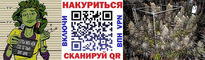 Марихуана Amnesia  наркотики  Кирс 
